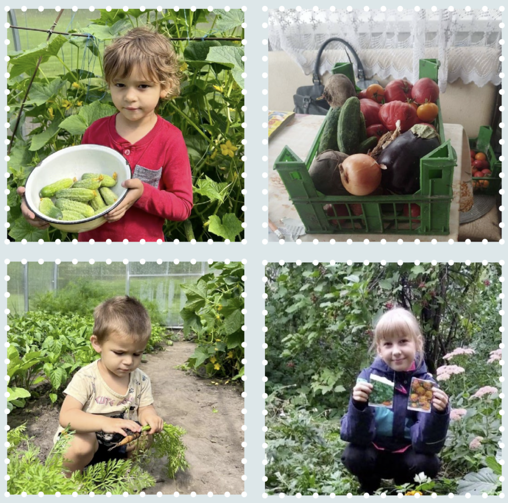 screenshot 2026 01 03 at 5.46.43 pm